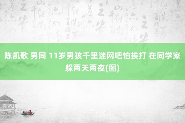 陈凯歌 男同 11岁男孩千里迷网吧怕挨打 在同学家躲两天两夜(图)