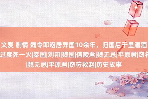 文爱 剧情 魏令郎避居异国10余年，归国后千里湎酒色，4年后饮酒过度死一火|秦国|刘邦|魏国|信陵君|魏无忌|平原君|窃符救赵|历史故事