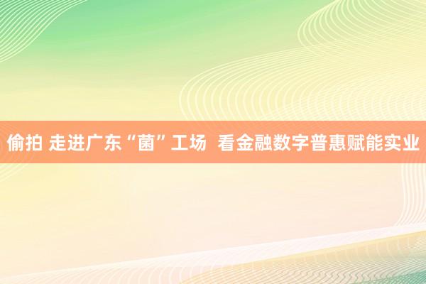 偷拍 走进广东“菌”工场  看金融数字普惠赋能实业