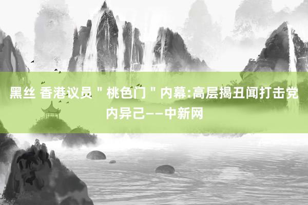 黑丝 香港议员＂桃色门＂内幕:高层揭丑闻打击党内异己——中新网