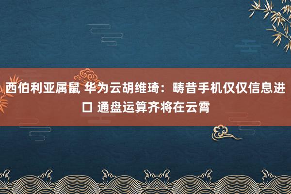 西伯利亚属鼠 华为云胡维琦：畴昔手机仅仅信息进口 通盘运算齐将在云霄