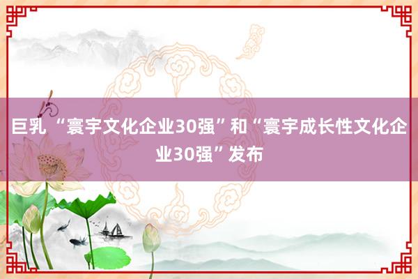 巨乳 “寰宇文化企业30强”和“寰宇成长性文化企业30强”发布