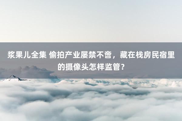 浆果儿全集 偷拍产业屡禁不啻，藏在栈房民宿里的摄像头怎样监管？