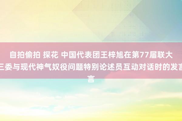 自拍偷拍 探花 中国代表团王梓旭在第77届联大三委与现代神气奴役问题特别论述员互动对话时的发言