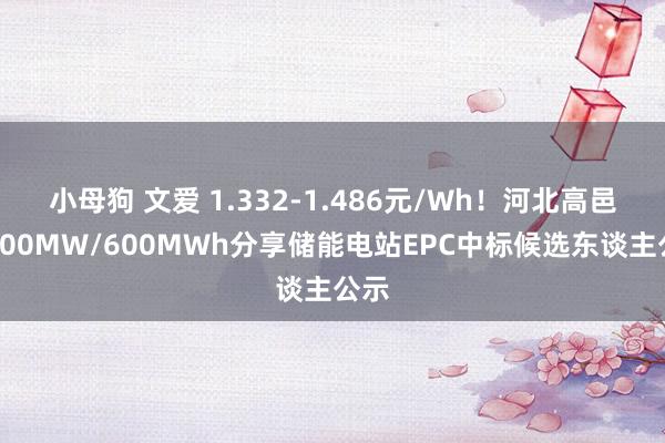 小母狗 文爱 1.332-1.486元/Wh！河北高邑县300MW/600MWh分享储能电站EPC中标候选东谈主公示